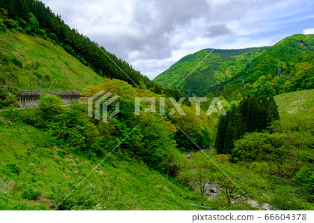 Toyama and fresh green Toga River 66604378