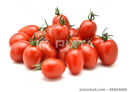 Mini tomato (Aiko) 66604666