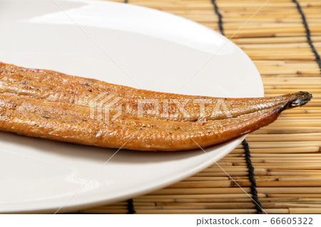 烤鰻魚(國產)。天的圖像夏天的與背景窗簾的黃牛為夏天和地球。 烤鰻魚(國產)。天的圖像夏天的與背景窗簾的黃牛為夏天和地球。 66605322