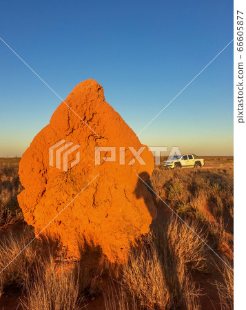 The Pinnacles Desert in Western Australia The Pinnacles Desert in Western Australia 66605877