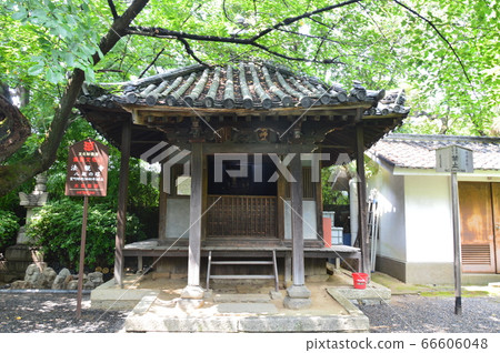 Company in the precincts (Hokan-ji (Yasaka Tower) / Shimizu Yasaka-Kamimachi, Higashiyama-ku, Kyoto City) 66606048