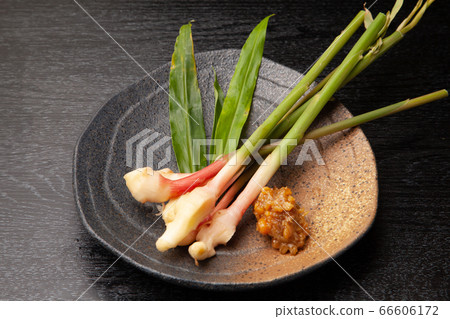 Root ginger 66606172