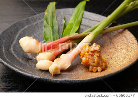 Root ginger 66606177