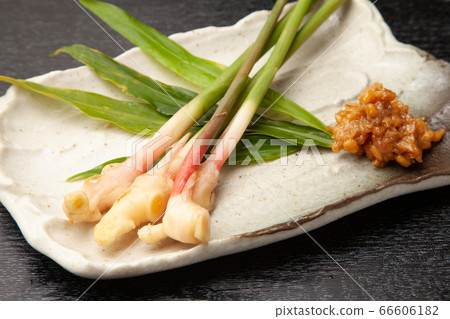 Root ginger 66606182