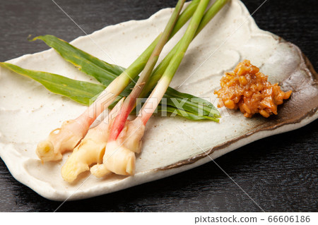 Root ginger 66606186