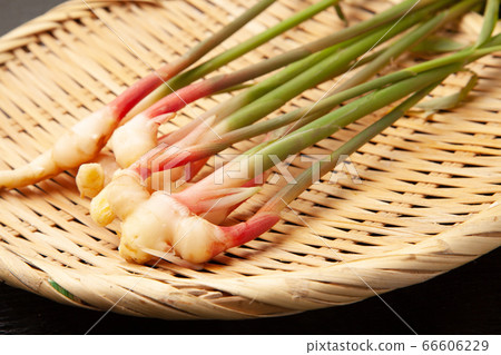 Yanaka ginger Yanaka ginger 66606229