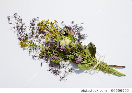 用熏制的樹乾花製成的贓物 66606903