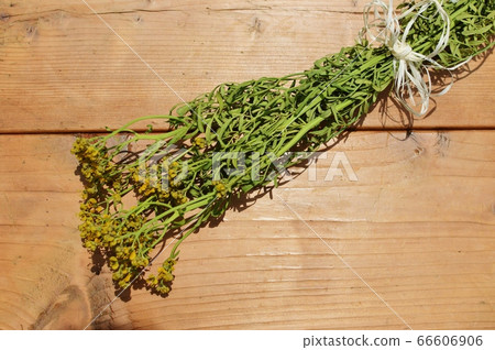 Bouquet of roux dried flowers 66606906
