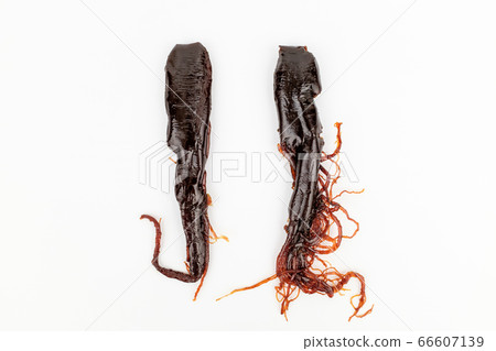 Red ginseng Red ginseng 66607139