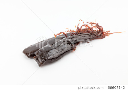 Red ginseng 66607142