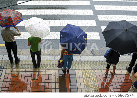 The rainy season The rainy season 66607574