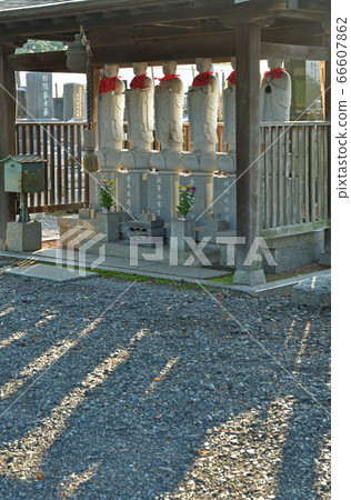 Minuma field: Kotokuji Soto sect 66607862