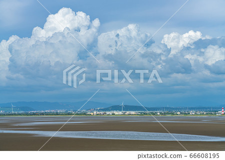 台灣台中市夏季高希濕地退潮 66608195