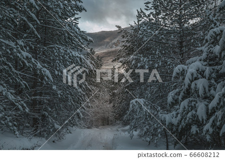 High mountains under snow in the winter High mountains under snow in the winter 66608212