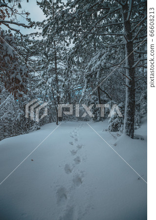 High mountains under snow in the winter High mountains under snow in the winter 66608213