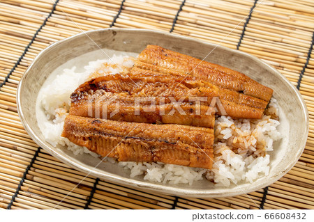 Unadon. A bowl of rice topped with grilled eel. The image of the day of the ox for summer and soil in Sudare. 66608432