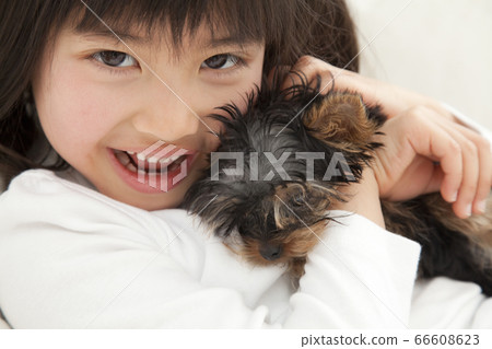 Smiling girl holding a yorkshire terrier 66608623