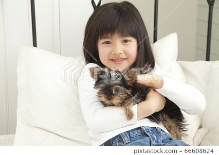 Smiling girl holding a yorkshire terrier 66608624