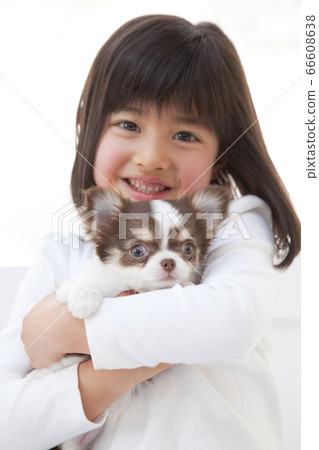 Girl holding a chihuahua 66608638