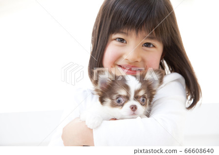 女孩抱著吉娃娃 66608640