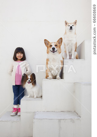 Dog and girl 66608669