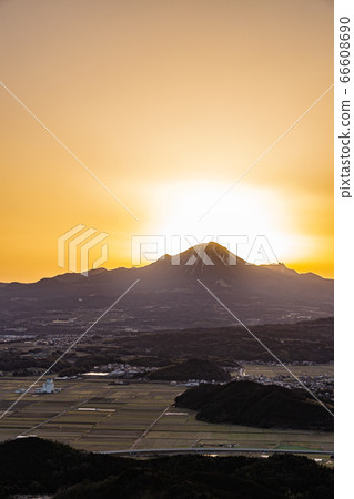 Morning glow Oyama 66608690