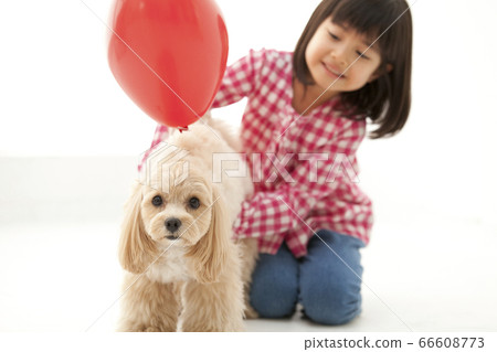 Girl playing with pets Girl playing with pets 66608773