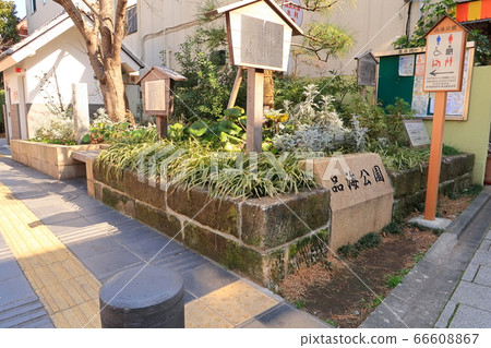 Kitashinagawa Shinkai Park 66608867