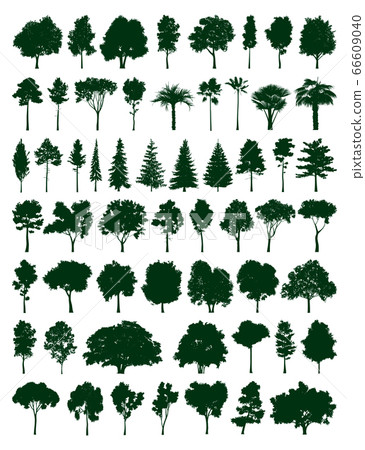 Trees set 66609040
