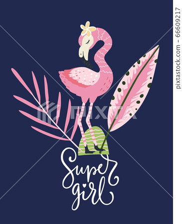 Flamingo vector card. Flamingo vector card. 66609217