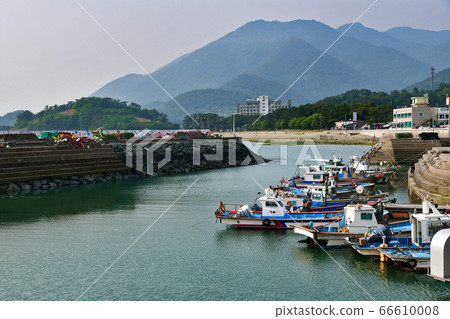 南海港 66610008