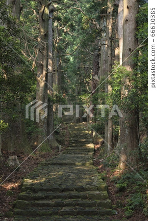 Kumano Kodo Daimonzaka (Wakayama Prefecture Nachi Katsuura Town) 66610385