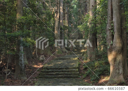 Kumano Kodo Daimonzaka（和歌山縣Nachi Katsuura Town） 66610387