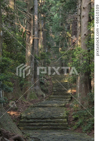 Kumano Kodo Daimonzaka (Wakayama Prefecture Nachi Katsuura Town) 66610389