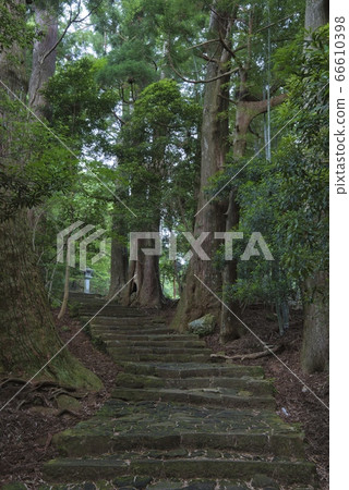 Kumano Kodo Daimonzaka（和歌山縣Nachi Katsuura Town） 66610398