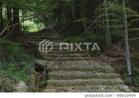 Kumano Kodo Daimonzaka(和歌山縣Nachi Katsuura Town) Kumano Kodo Daimonzaka(和歌山縣Nachi Katsuura Town) 66610404