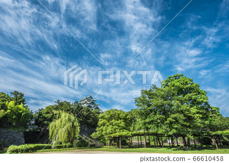 Aichi Prefecture Nagoya Castle Aichi Prefecture Nagoya Castle 66610458