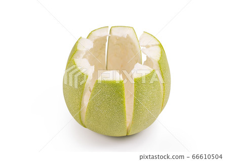 Pomelo mid-autumn festival white background go back pomelo isolated clipping path 切り抜き Pomelo mid-autumn festival white background go back pomelo isolated clipping path 切り抜き 66610504