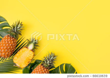 鳳梨 熱帶 葉子 蓬萊蕉 背景 龜背葉 pineapple background パイナップル 66610639