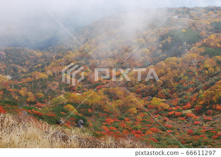 Norikura高原，到處都是紅葉 66611297