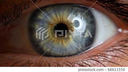 Female left green and blue coloured eye extreme Female left green and blue coloured eye extreme 66611550