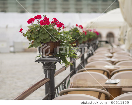 red geranium flower pots on empty restaurant caf garden fenc, pot, restaurant 66611569