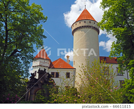 Czech republic, Konopiste, May 16, 2017: Czech state castle chateau Konopiste with round tower and blooming magnolia tree and blue sky Czech republic, Konopiste, May 16, 2017: Czech state castle chateau Konopiste with round tower and blooming magnolia tree and blue sky 66611815