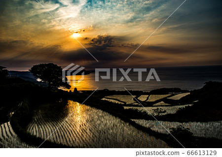 水稻梯田 水稻梯田 66613129