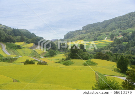 Iwakuni Shoryu Tanada (Sawa City, Niigata Prefecture) Iwakuni Shoryu Tanada (Sawa City, Niigata Prefecture) 66613179