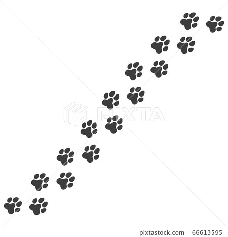 dog paw trail