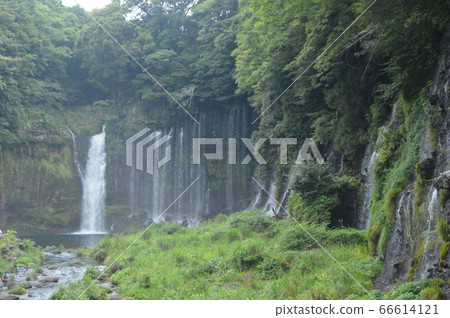 Shiraito Falls(靜岡縣富士宮市Uenoide) Shiraito Falls(靜岡縣富士宮市Uenoide) 66614121