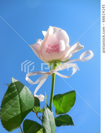 生日快樂 生日快樂 66614145