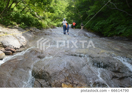 Kamuiwakka Hot Water Falls (Shiretoko Peninsula / Shari-gun, Shari-gun, Hokkaido) 66614790