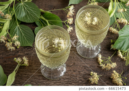 Two cups of herbal tea with linden flowers 66615473